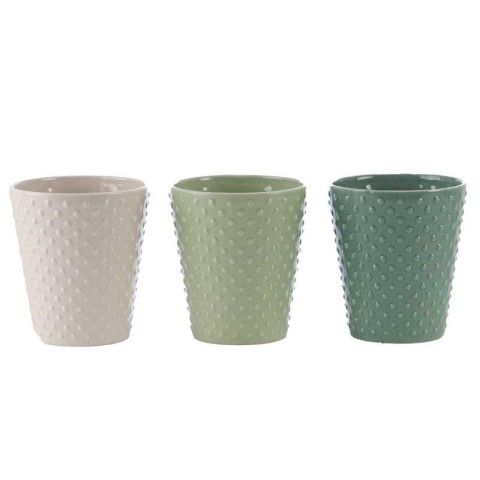 VASO PHALENO MIX COLOR H.14.2